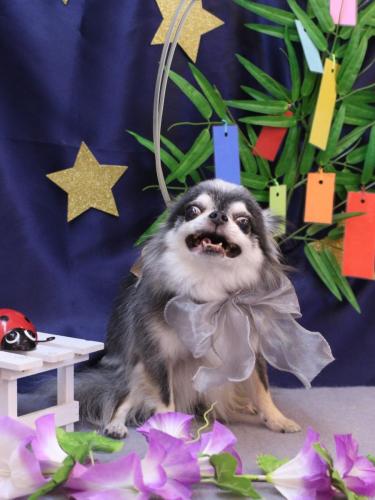 20230722クオンくん